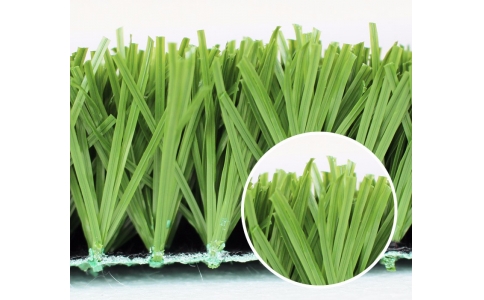 勁草球場(chǎng)運(yùn)動(dòng)草YH38-3519